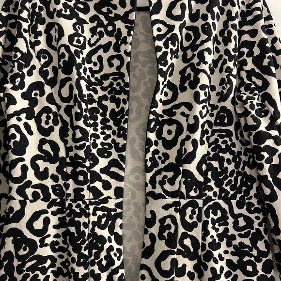 Ann Taylor 3/4 Length Sleeve Animal Print Dress Size 12 - Picture 10 of 14